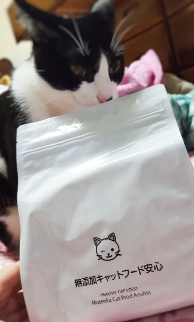 無添加キャットフード安心 人間が食べられる食材だけで作ったキャットフード 食いつきも抜群 銀麦の独り言